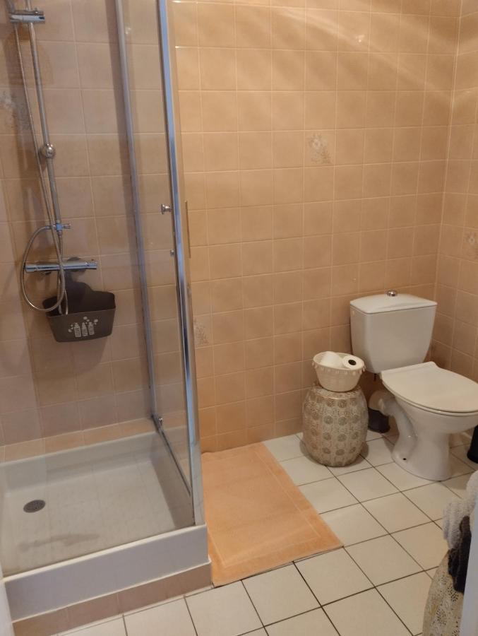Le Manoir De La Pichardière *